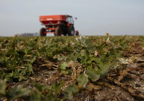 Błędy w regulacji rozsiewacza mogą kosztować plon. Jak dokładnie wysiać nawozy?