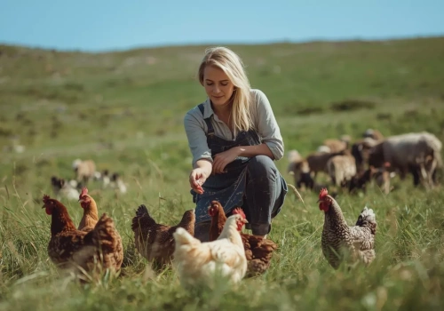 Nowa Platforma Kobiet w Rolnictwie. Szansa na współpracę i rozwój dla rolniczek w UE