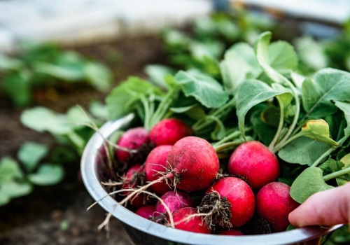 Nowalijki zawsze myję w tym. Usuwa zanieczyszczenia i nawozy