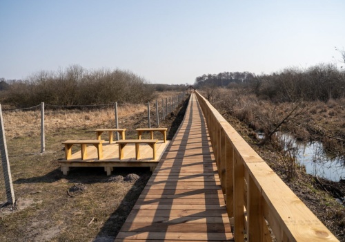 Można już spacerować po torfowiskach w Łęcznej. Ścieżka obejmuje naturalną dolinę Wieprza