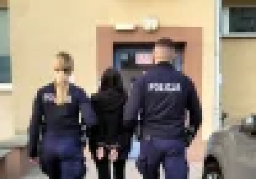 Obcokrajowcy pomalowali metro, dostali areszt tymczasowy na okres 2 miesięcy.