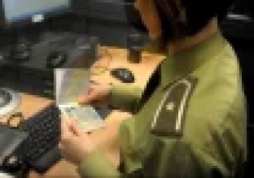 PESEL pod lupą... strażniczki granicznej. Przeglądała dane 265 osób bez uprawnie