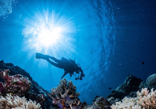 Dlaczego morze jest niebieskie? Odkrywamy największą tajemnicę oceanów