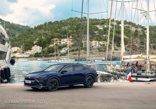 Gdybym miał kupić kilkuletni używany samochód, co bym wybrał?