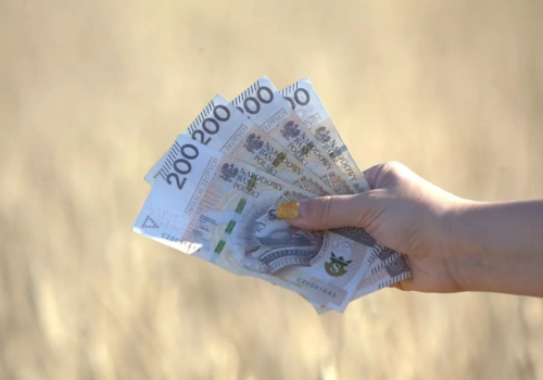 Dopłaty bezpośrednie 2026: ruszył nabór wniosków! Co nowego w dopłatach?