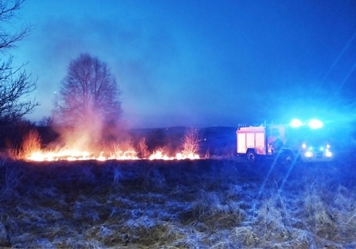 Groźne pożary traw w regionie. Dziesiątki razy wyły strażackie syreny