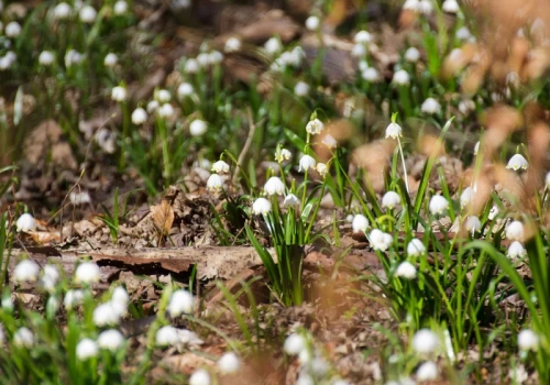 Tylko trzy weekendy, by zobaczyć piękne miejsce w Polsce. „Fenomen”
