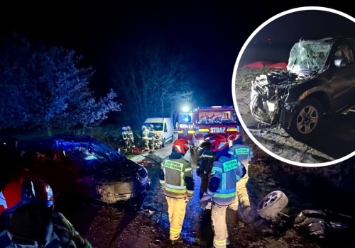 Samochód uderzył w drzewo w powiecie strzeleckim. 16-latek zginął na miejscu