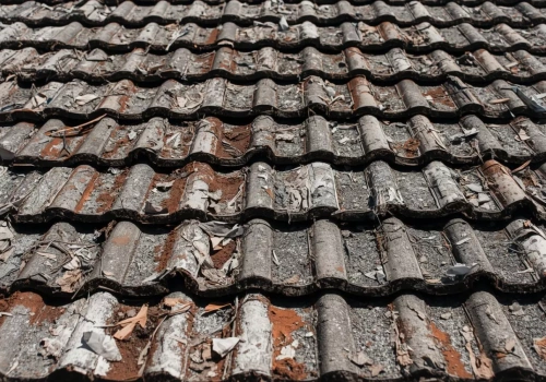 Rolnicy mogą nie zdążyć z wymianą dachów z azbestem. Samorząd rolniczy apeluje o więcej czasu