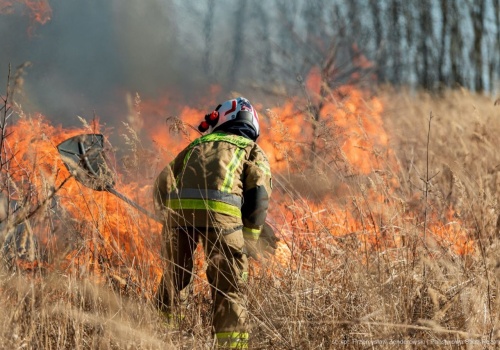 Ponad 1400 pożarów traw w jeden weekend. Strażacy apelują o rozsądek