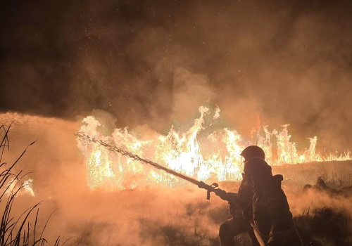 Dramatyczny weekend na Podkarpaciu. Ponad 200 pożarów traw