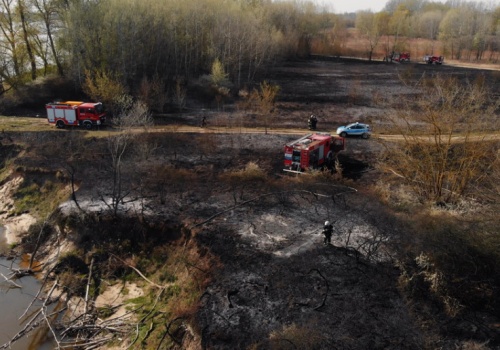 Wraca groźny proceder. Właściciele posesji mogą zapłacić do 30 tys. zł kary