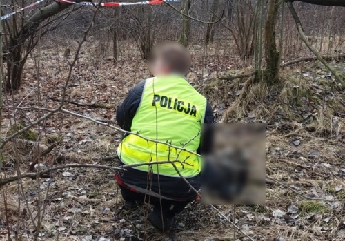 Ciało młodego mężczyzny znalezione w lesie. Makabrycznego odkrycia dokonał spacerowicz