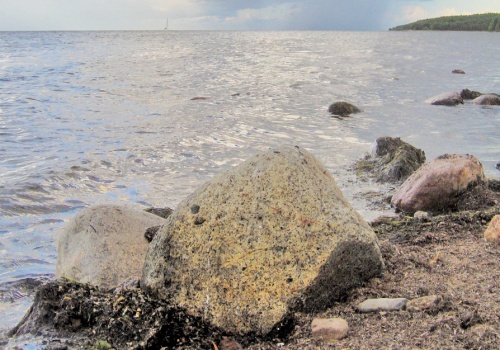 Tragiczne odkrycie w Zatoce Puckiej. Znaleziono ciało mężczyzny