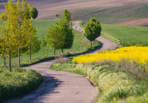 Termin mija już dziś, inaczej kara od 5 tys. zł do nawet 1 mln zł. Kluczowy próg to 75 ha