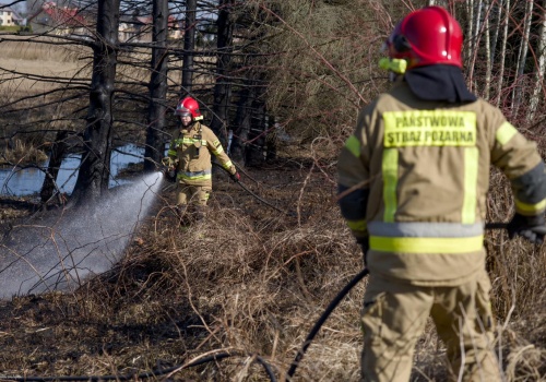 To był pracowity weekend strażaków. Płonęły trawy i lasy