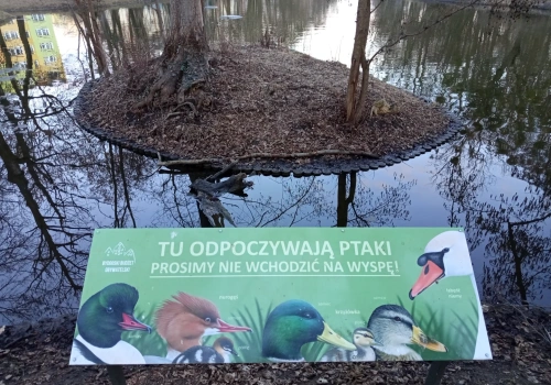 Ludzie wchodzili na wyspę z gniazdami łabędzi. Postawiono tabliczkę