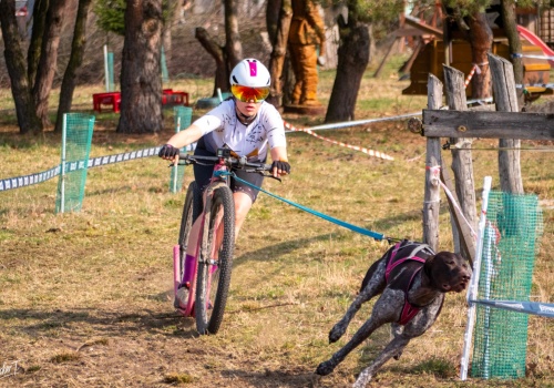 Międzynarodowe wyścigi psich zaprzęgów w Kuźni Raciborskiej. Emocjonujący weekend Dog Adventure Sprint Race