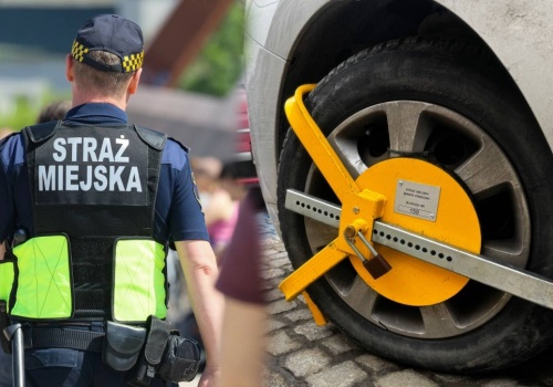 Za co tak naprawdę karze straż miejska? 