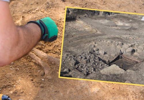 Niezwykłe odkrycie pod Poznaniem. 