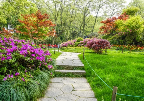 Wiosna w ogrodzie: jak bez mandatu usuwać drzewa i krzewy!