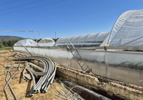 Nieszczęście producentów truskawek! Nawałnice zniszczyły część konstrukcji, ale solidniejsze tunele lepiej zdały egzamin