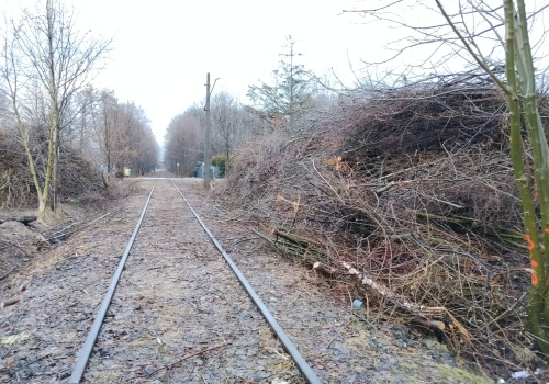 Powrót kolei za 700 milionów?