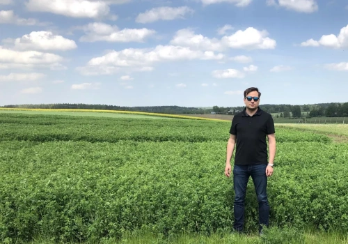 Jak sprawdzić, czy łąka przetrwała zimę? Ekspert radzi