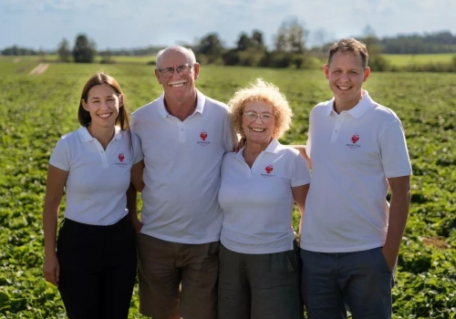 Odmiany truskawek 2026 – na co stawiają profesjonalni plantatorzy?