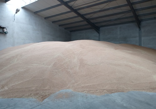 Magazyny pełne zbóż, kupców brak. Rolnicy alarmują o najgorszym roku od lat