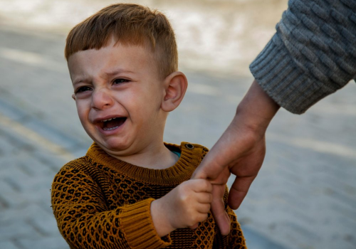 Dziecko boi się kleszczy i innych owadów. 