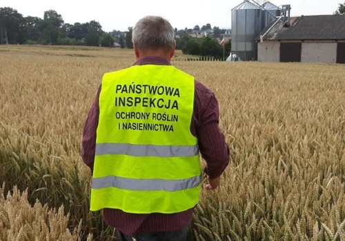 PIORiN zaczyna sezon kontroli. O czym muszą pamiętać producenci?