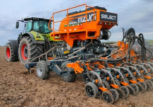 Burak potrzebuje wygrzanej gleby