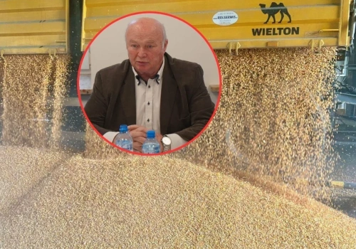 Tanie zboże dobija rolników. Chcą 230 euro za tonę