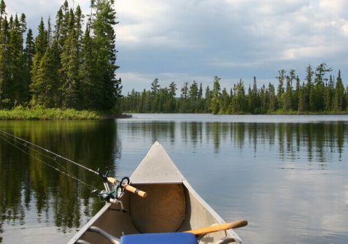 Polskie wody w coraz gorszym stanie. Beata Olejarz, prezes PZW, o skali problemu