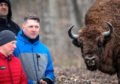 1500 sztuk i 6 mln zł strat. Odszkodowania już nie wystarczają
