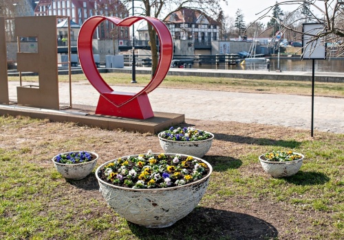 Dziewięć tysięcy bratków i łódka na tle Porto Vista
