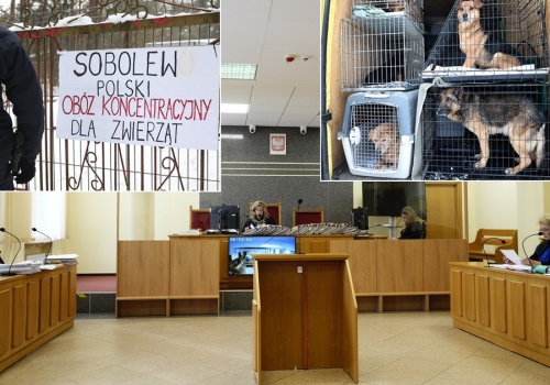 Marian D. usłyszał wyrok w sprawie schroniska w Sobolewie