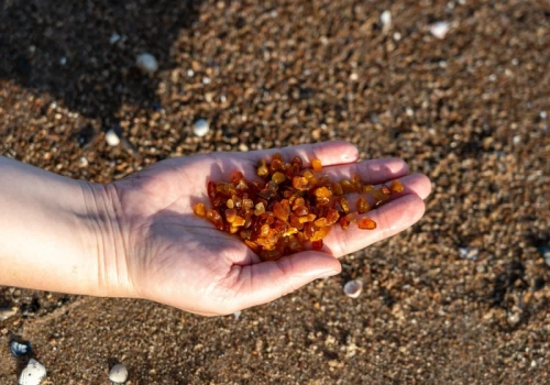 Wyjątkowe zbiory nad morzem. „Złoto Bałtyku jako główne danie”