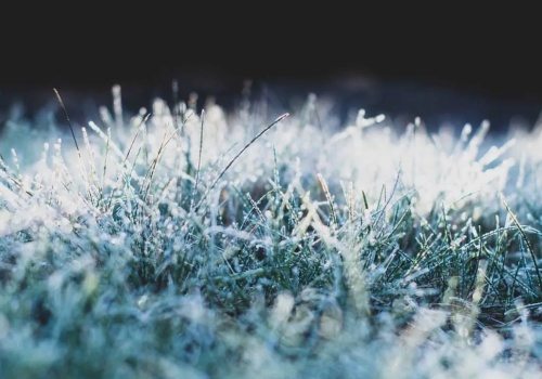 Nocą uderzy mróz. IMGW ostrzega aż 13 województw