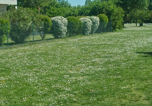 Jak sprawdzić działkę budowlaną?
