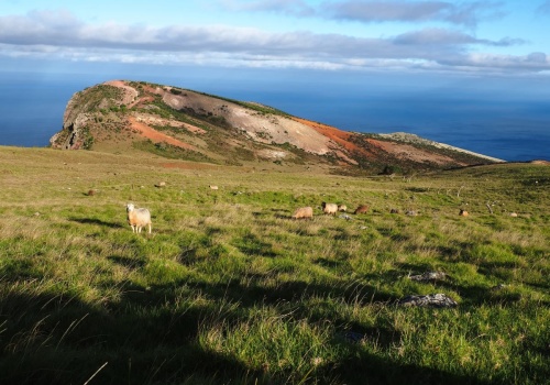 Tu trafił Napoleon na wygnanie. Dziś to raj dla turystów spragnionych ciszy
