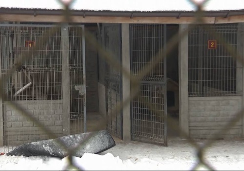 Sprawa schroniska w Sobolewie.  Sąd zdecydował ws. właściciela