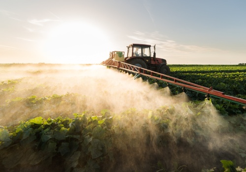 Premie dla młodych rolników 2026 – czy to ostatnia szansa?