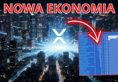 Przełomowe badanie nad XRP! Dane z sieci ujawniły prawdę o roli Ripple