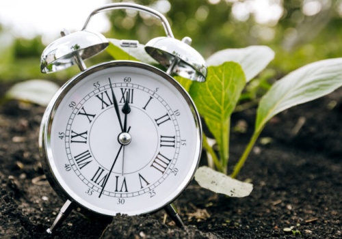 Psycholog o zmianie czasu: nie tak łatwo przestawić zegar biologiczny