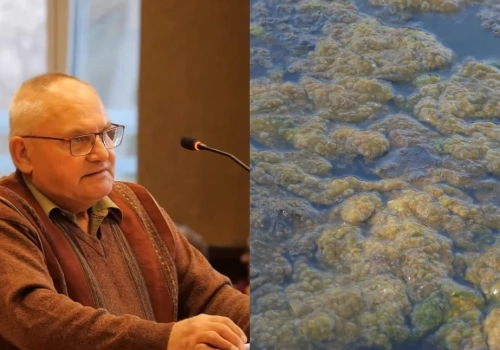 Co się dzieje z wodą w Zalewie Sosina w Jaworznie? Obraz na miejscu budzi coraz większy niepokój