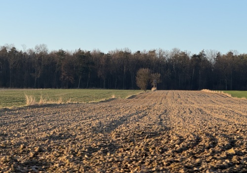 Dwa duże areały z ziemią II klasy idą na przetarg na Dolnym Śląsku