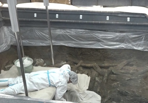 Tylko 13 takich artefaktów odkryto w Chinach. Ten jest wyjątkowy