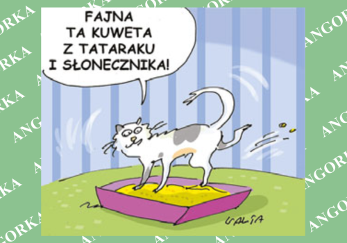 Polacy stworzyli superekologiczny materiał z roślin